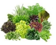 Vitamine B9 B9 pentru creier